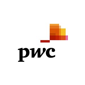 PwCアドバイザリー合同会社 ロゴ